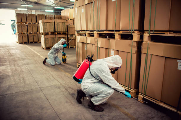 Best Best Pest Control Companies  in Ronan, MT