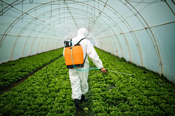 Best Residential Pest Control  in Ronan, MT