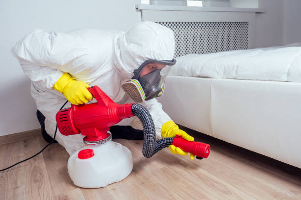 Best Pest Removal Services  in Ronan, MT