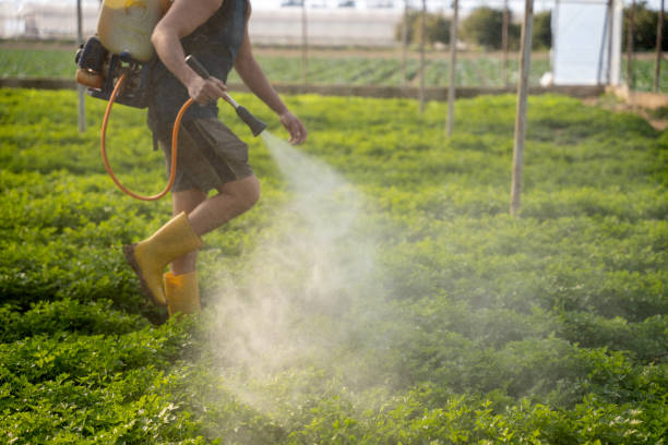 Best Best Pest Control Near Me  in Ronan, MT
