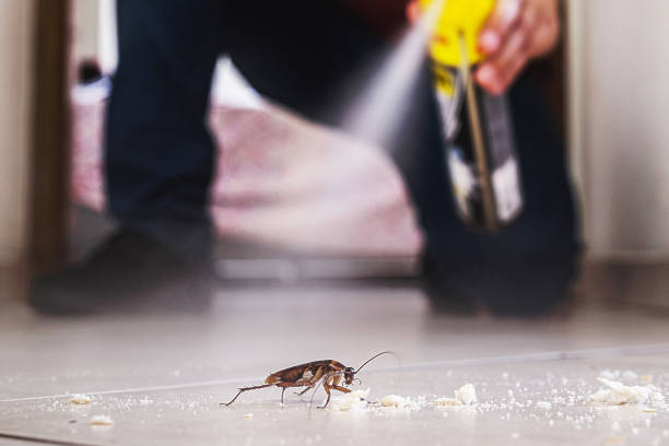 Best Commercial Pest Control Services  in Ronan, MT